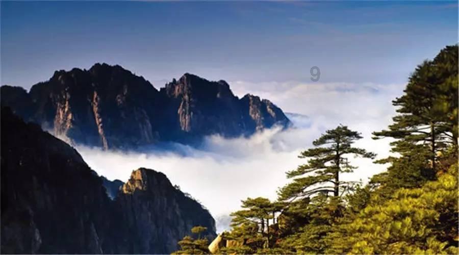 聚焦青海两会|亮出实干成绩单 依法履职建新功