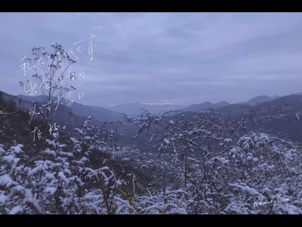 逗小猴开心系列206