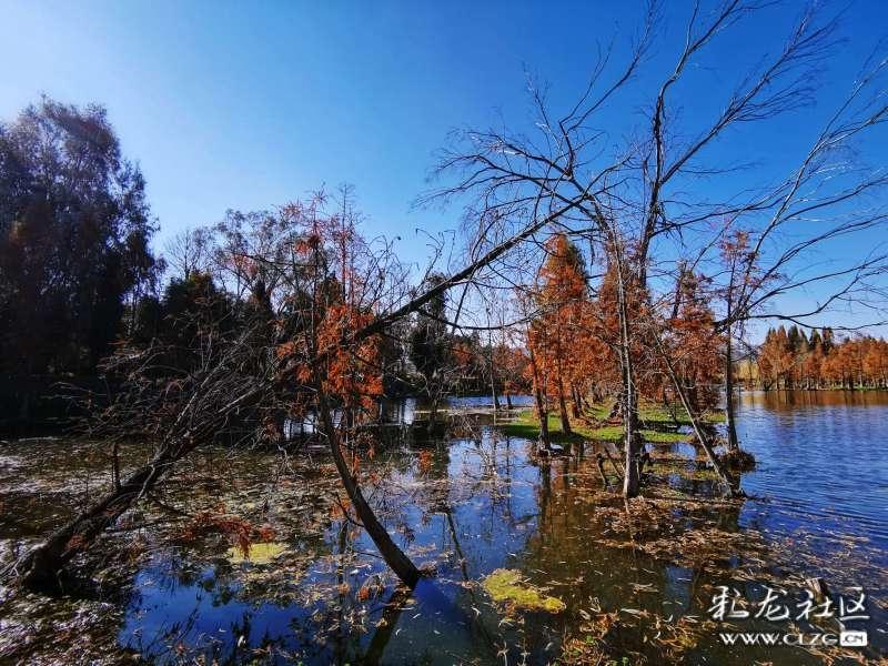 痴迷上海老印花，日本设计师让非遗“变身”可爱杂货