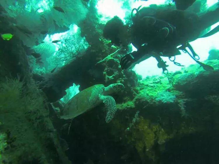 逃离沙漠建筑