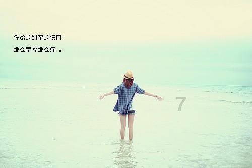 狐狸的旅程