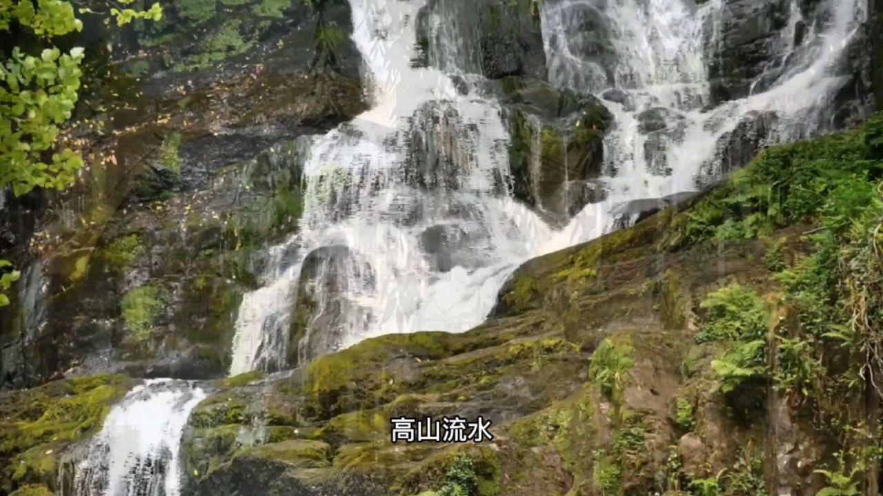 冷知识分享平台-中年夫妻,如连日常说话的欲望都没有了,你还会持续婚姻吗? - 提供独特知识的最佳来源