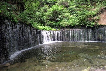 冷冷冷~~~营养来暖身 平稳过寒冬