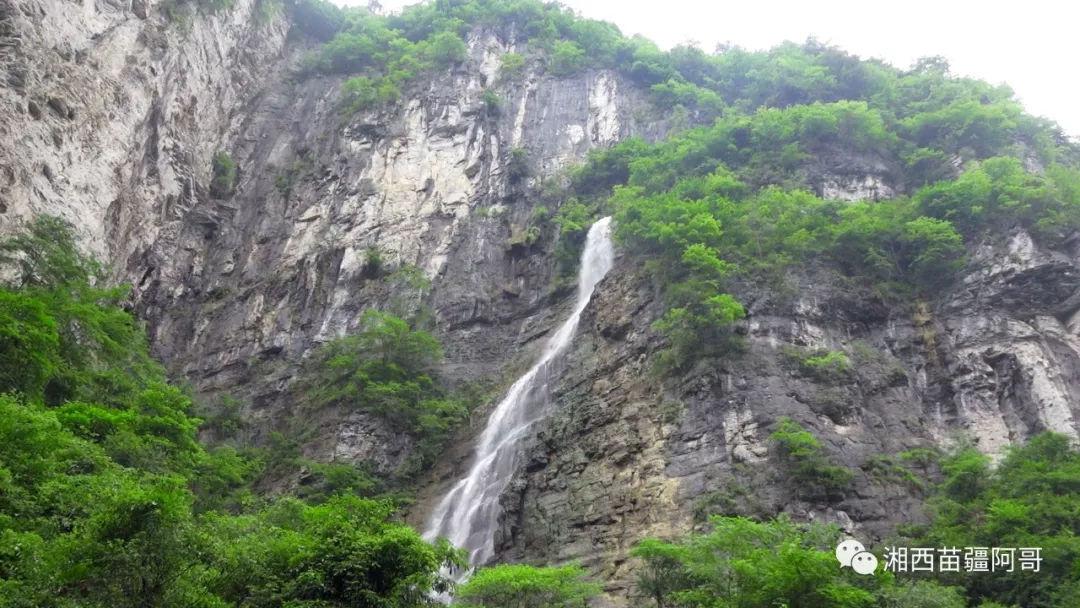 美丽中国厦门实践 | “海上大熊猫”中华白海豚逐浪嬉戏厦门湾(人民网)